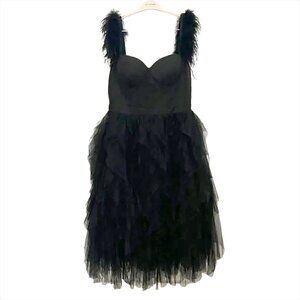 NWT Fashion Nova Black Feathered Formal Tulle Dress Black Swan Holiday NYE LBD